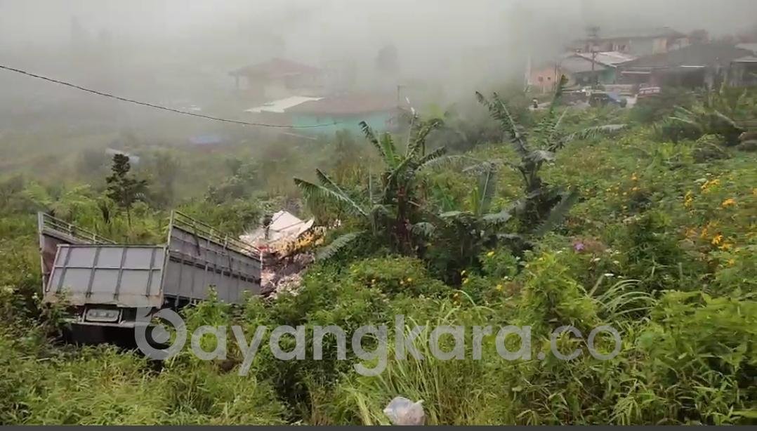 Truk Pengangkut Bahan Bangunan Masuk Jurang di Penatapan,Supir Tewas Di Tempat
