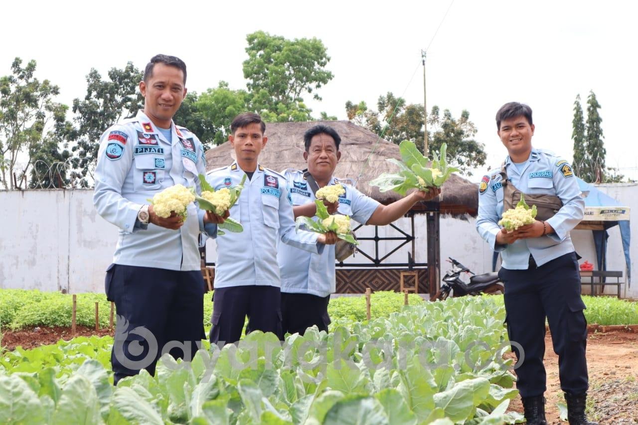 Rahmad Pijati Memimpin Panen Perdana Sayur sayuran di Rutan Pelaihari
