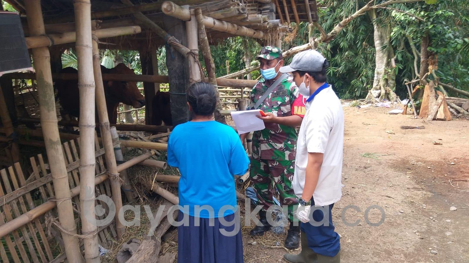 Wujud Kepedulian, Babinsa Koramil Talun Dampingi Petugas Dinas Peternakan Cek Kesehatan Hewan Ternak