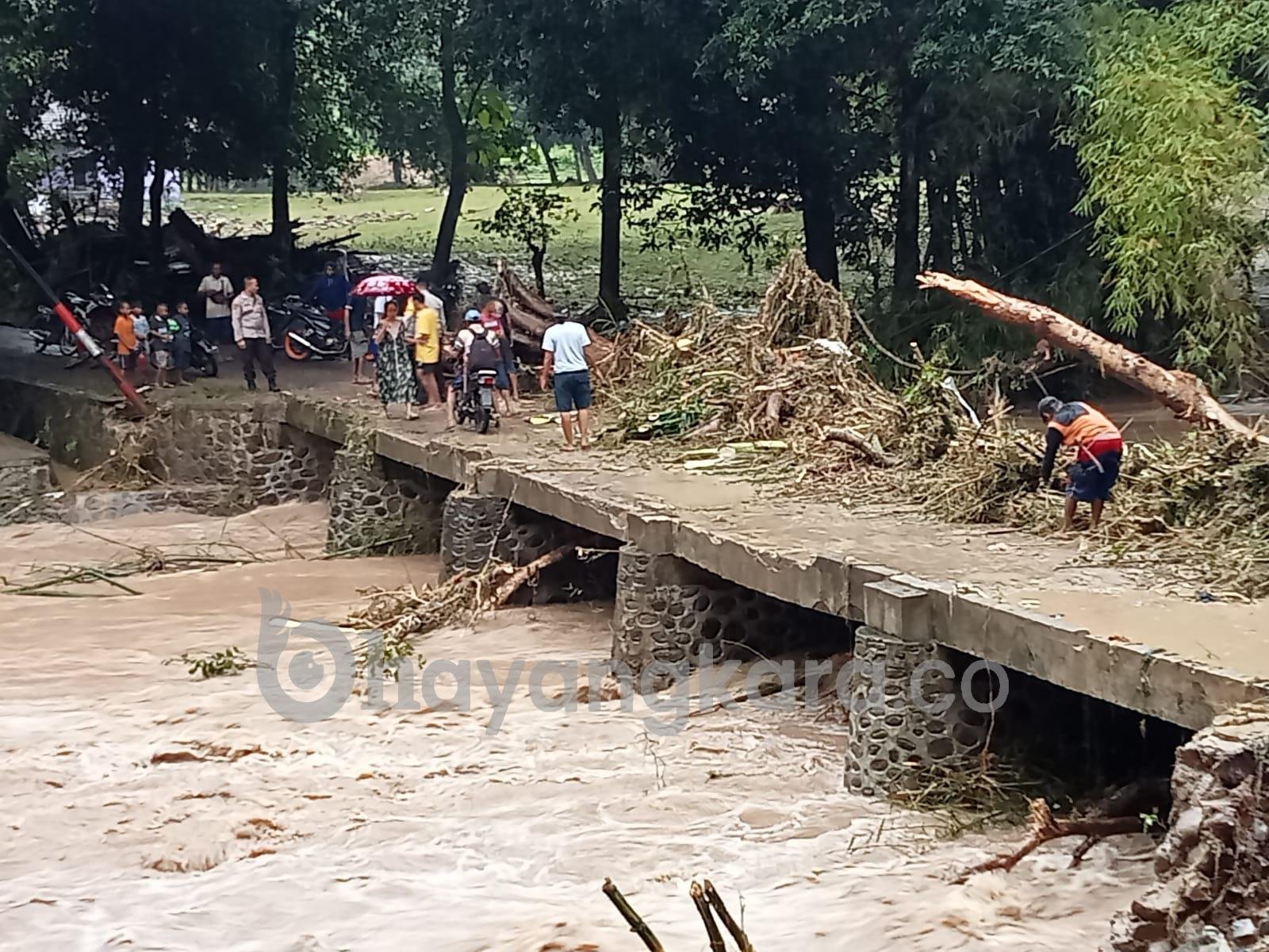 Banjir Bandang Terjang Sumbawa, Belasan Rumah Hanyut dan Hewan Ternak Mati
