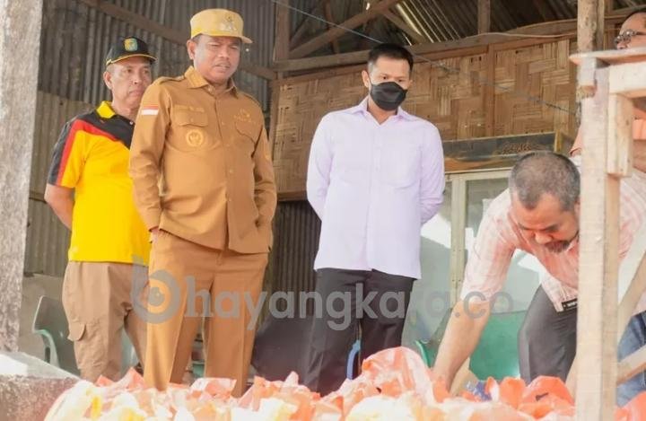 Jelang Perayaan Idul Fitri, Pemkab Sergai Potong 40 Ekor Lembu, Ini tujuanya ?