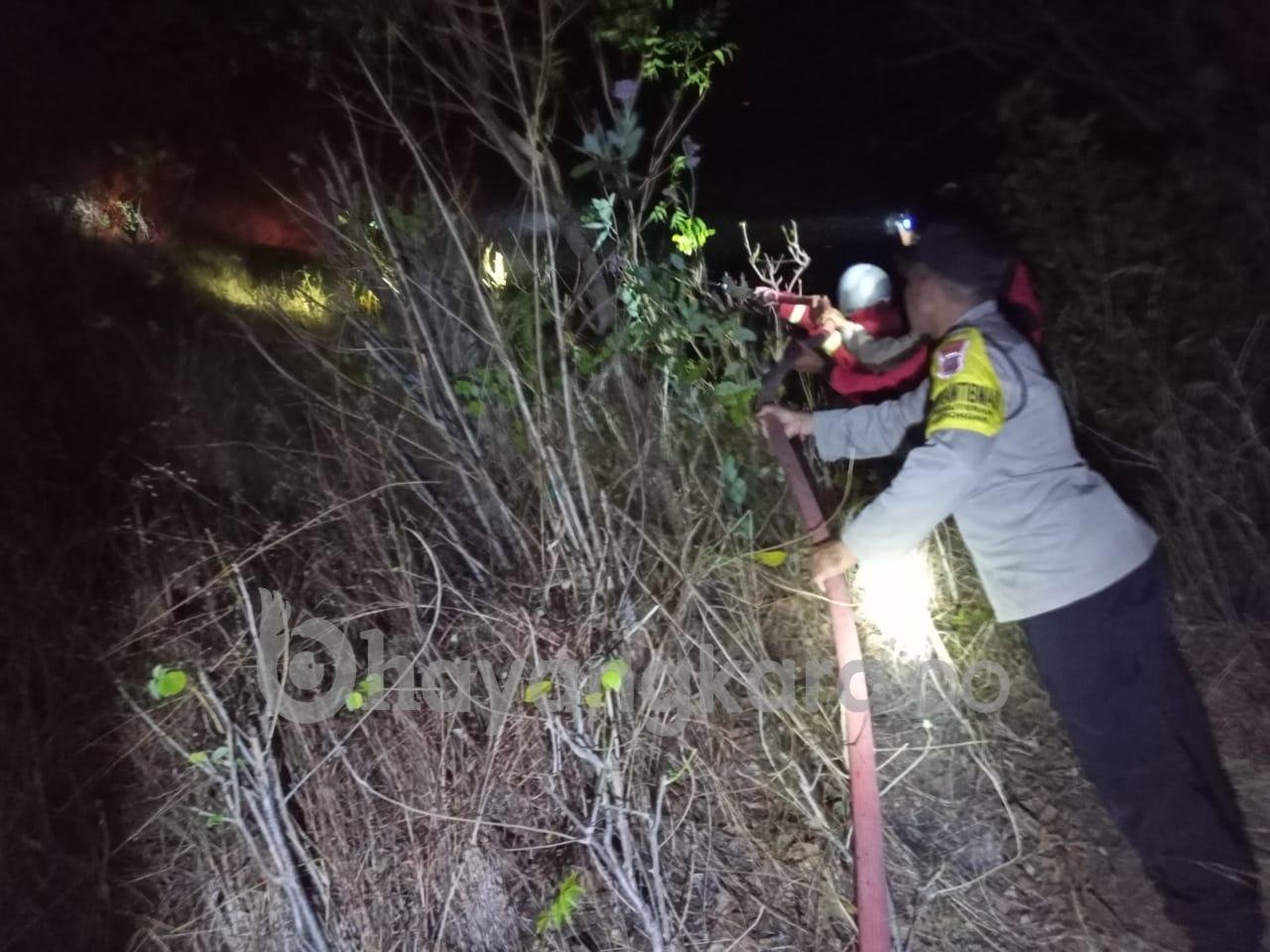 Kebakaran Hutan Kawasan Gunung Pemuteran Area Kawasan Pura Batu Kursi Desa Pemuteran Gerokgak.
