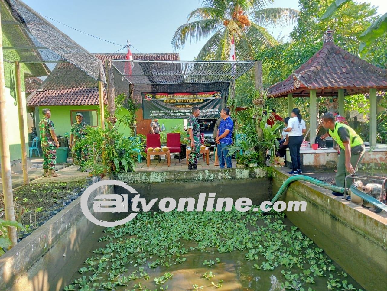 Tingkatkan Antusias Masyarakat dalam Memajukan Ketahanan Pangan, Kodim 1619/Tabanan melalui Jajaran Koramil Laksanakan Panen Ikan Lele Hasil Budidaya