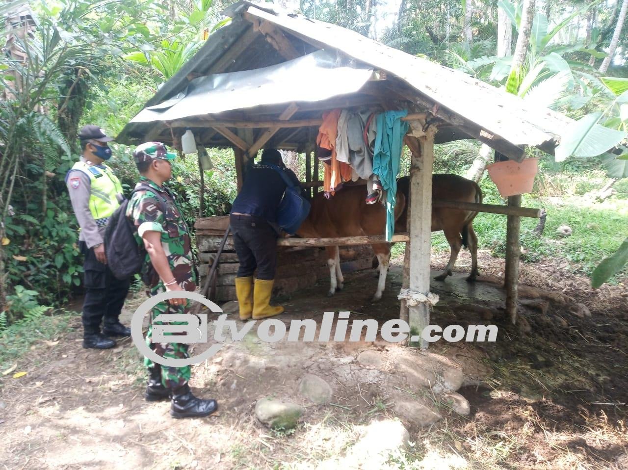 Gencar Laksanakan Pencegahan, Babinsa DesaJegu Kawal Petugas Kesehatan Lakukan Vaksinasi PMK