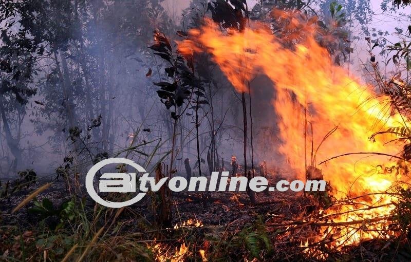 Palangka Raya Tetapkan Status Tanggap Darurat Kebakaran Hutan