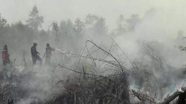 Palangka Raya Tetapkan Status Tanggap Darurat Kebakaran Hutan