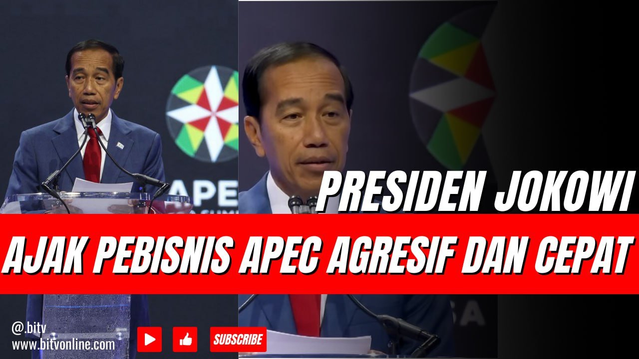 Presiden Jokowi Ajak Pebisnis APEC Agresif dan Cepat Manfaatkan Investasi di RI