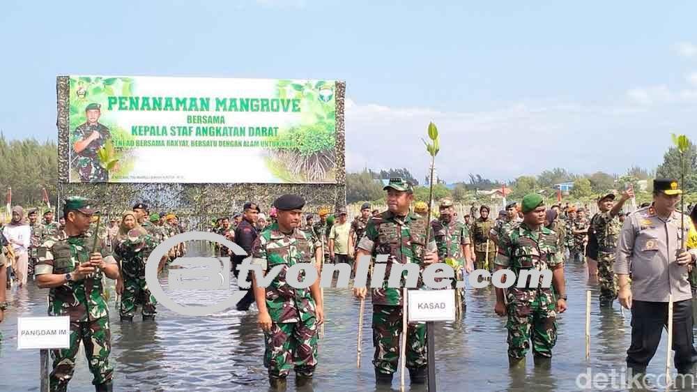 KSAD Maruli Pimpin Tanam 64 Ribu Mangrove di Aceh