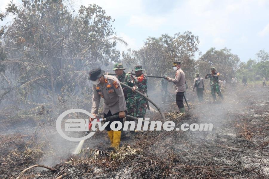 Kebakaran Lahan dan Hutan Selama 7 Hari di Bengkalis, Petugas Terus Berjibaku Memadamkan Api