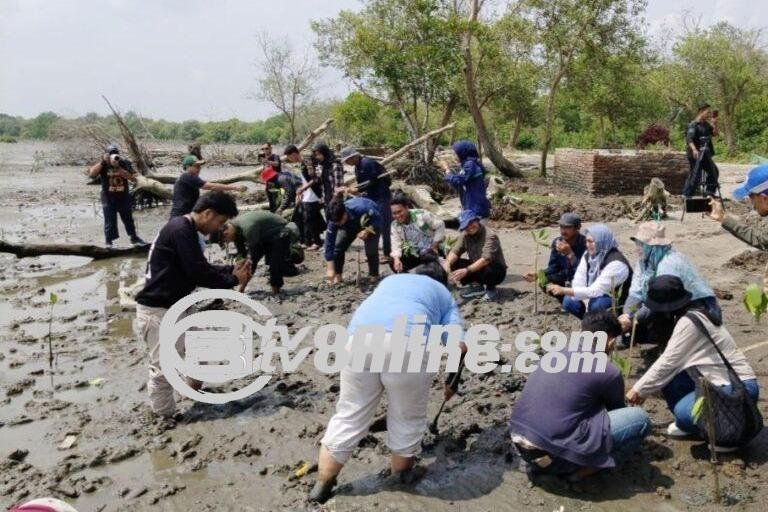 Tantangan Medan Menghadapi Plastik, Konservasi Indonesia Beraksi Hijaukan Pesisir Sumut