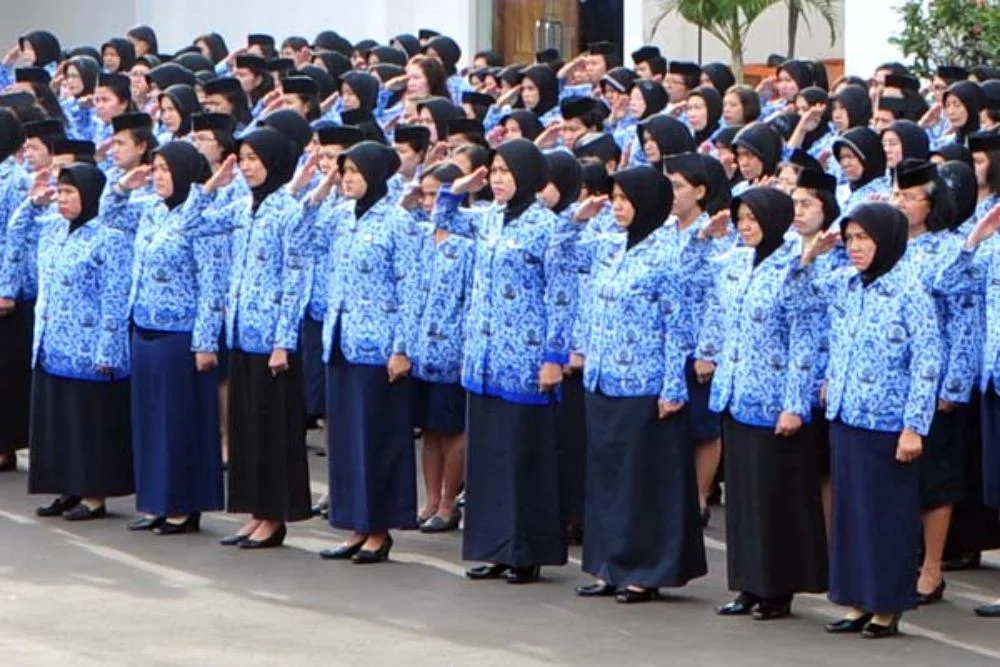Proses Seleksi CPNS dan PPPK 2024, Kesempatan Baru bagi Fresh Graduate
