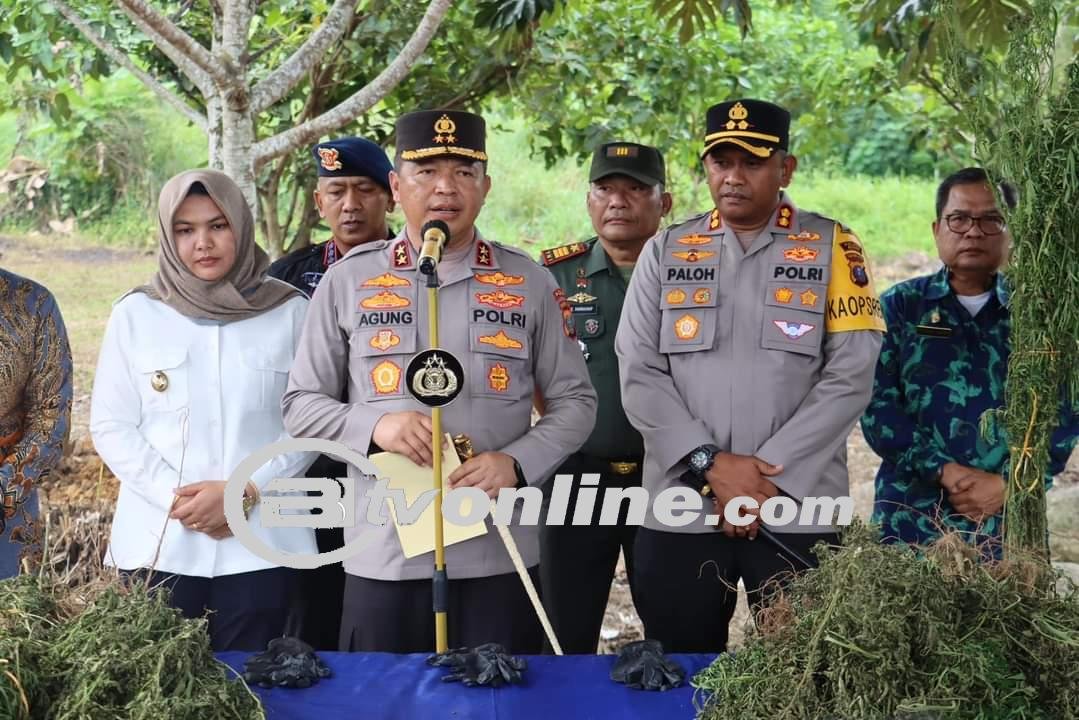 Dengan Teknologi, Polda Sumut Temukan Ladang Ganja Seluas 5 Hektar