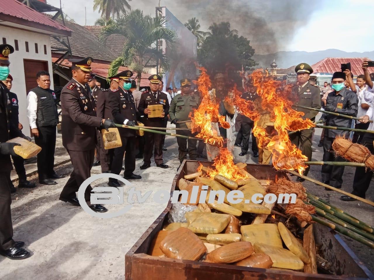 Menyikapi Perayaan HUT Bhayangkara ke-78: Polres Madina Musnahkan 140kg Ganja