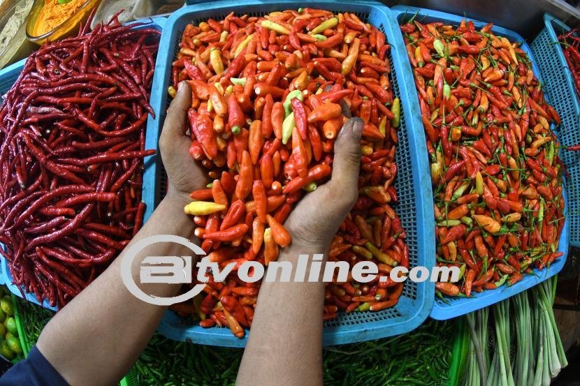 Harga Cabai Rawit Merah Meroket, Keringanan Musim Kemarau Jadi Penyebab Utama