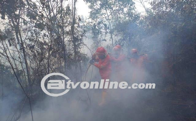 Kualitas Udara di Palembang Terancam Karena Kebakaran Hutan dan Lahan