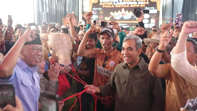 Ahmad Muzani Lelang Sapi Limosin Rp 250 Juta, Hasilnya Disumbangkan untuk Korban Erupsi Gunung Lewotobi NTT