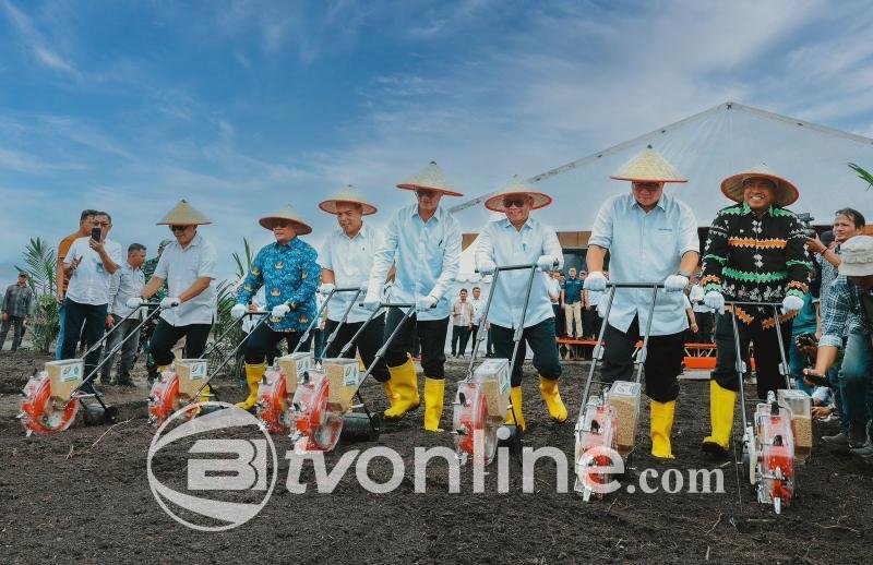 PTPN IV PalmCo Luncurkan Program TAMPAN, Optimalkan Peremajaan Sawit dengan Tanam Padi Gogo untuk Swasembada Pangan