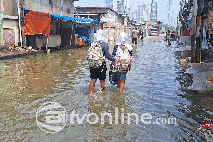 Banjir Rob Surut di Pluit Jakarta Utara, Aktivitas Warga Kembali Normal Setelah Pagi Hari