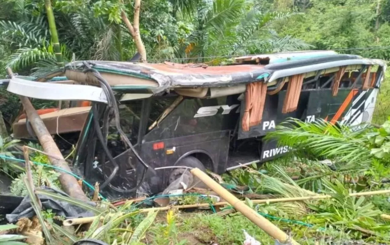 Bus Putra Raflesia Terjun ke Jurang di Lampung, 3 Tewas dan 6 Selamat