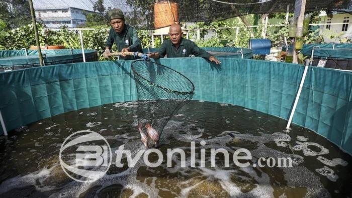 KKP Dukung Program Makan Bergizi Gratis (MBG) dengan Penyediaan Protein Laut dan Perikanan di Desa-desa