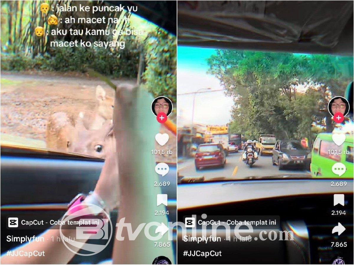 Viral Pasangan Kekasih Gunakan Pengawalan Patwal Untuk Berkencan di Taman Safari, Warganet Geram