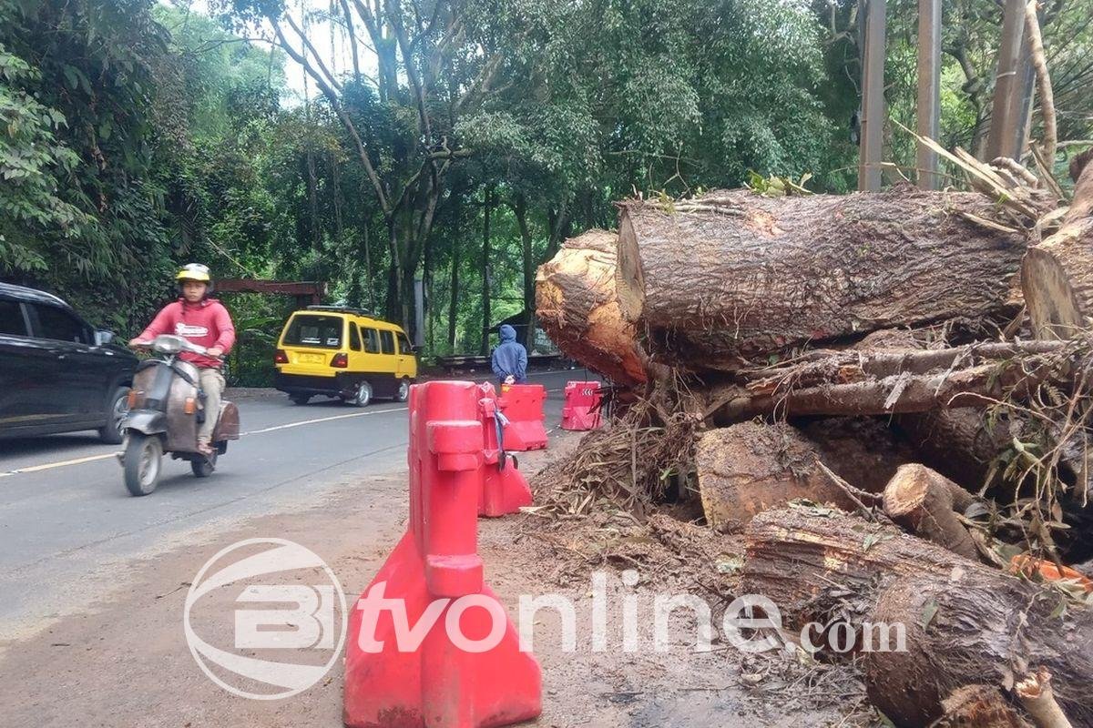 Jalur Puncak Cianjur Kembali Normal Pasca Longsor, Pengguna Jalan Diimbau Waspada
