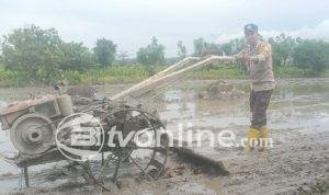 Polsek Stabat Dorong Ketahanan Pangan Lewat Kunjungan ke Petani Sayur di Desa Karang Rejo