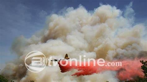 Pesawat Water Bombing Dikerahkan untuk Padamkan Kebakaran di Palisades, Los Angeles