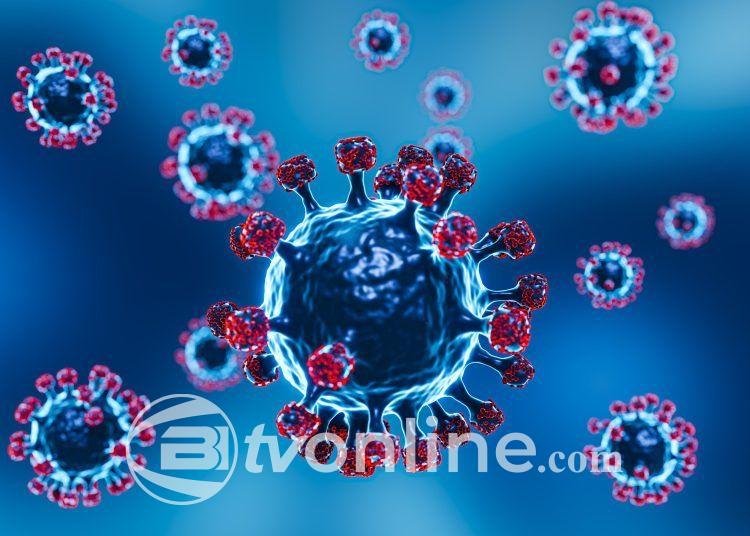 Empat Kasus Human Metapneumovirus (HMPV) Ditemukan di Jakarta Timur, Semua Pasien Sembuh