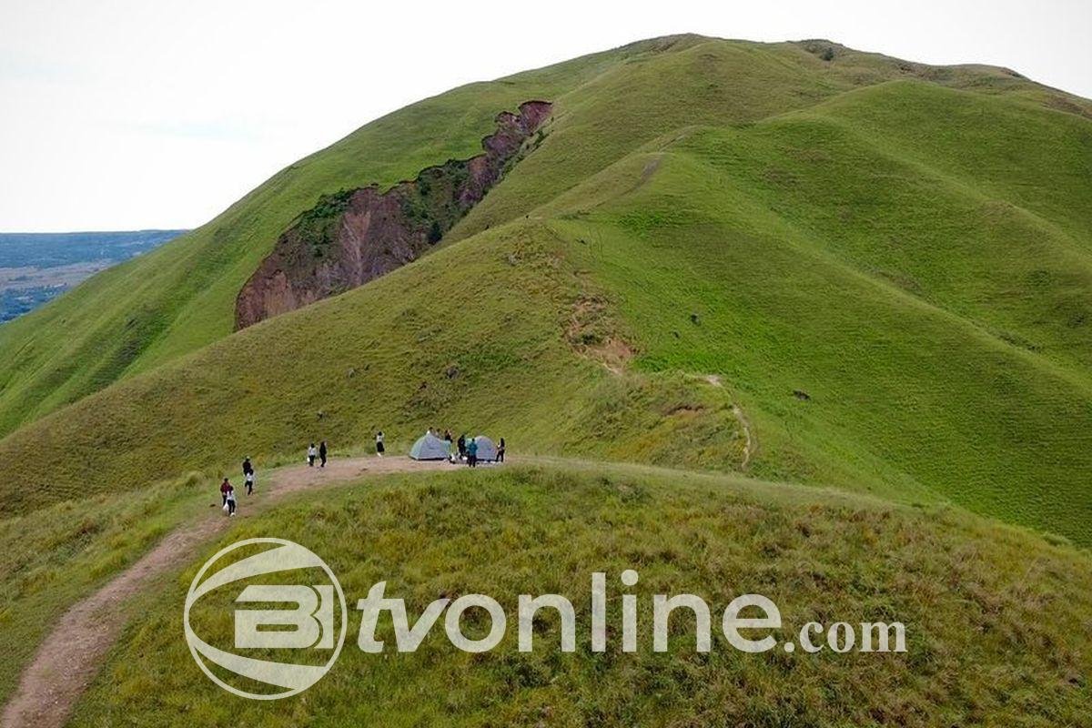 Bukit Holbung: Destinasi Wisata Menakjubkan di Sisi Danau Toba dengan Harga Tiket Terjangkau
