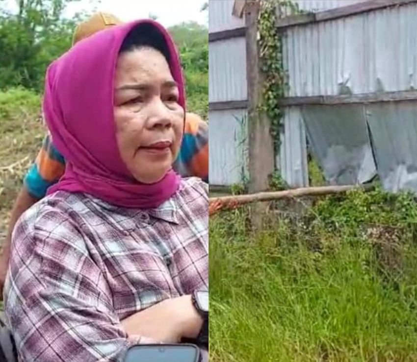 Dinas LHK Sumut Tindak Tegas, Bongkar Pagar Seng di Hutan Lindung Pantai Labu