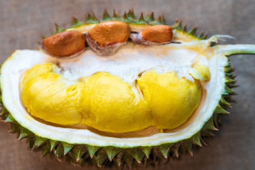 Sering Menjadi Limbah! Ternyata Biji Durian Memiliki Sumber Karbohidrat, Protein, dan Antioksidan yang Tersembunyi? Simak Penjelasanya....