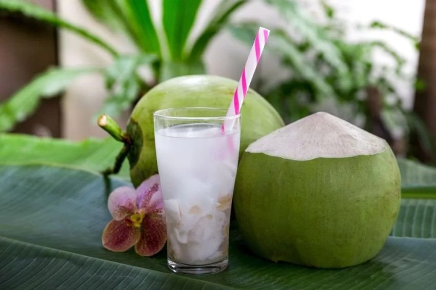 Minum Air Kelapa Setiap Hari, Ini 5 Manfaat Luar Biasa untuk Kesehatan