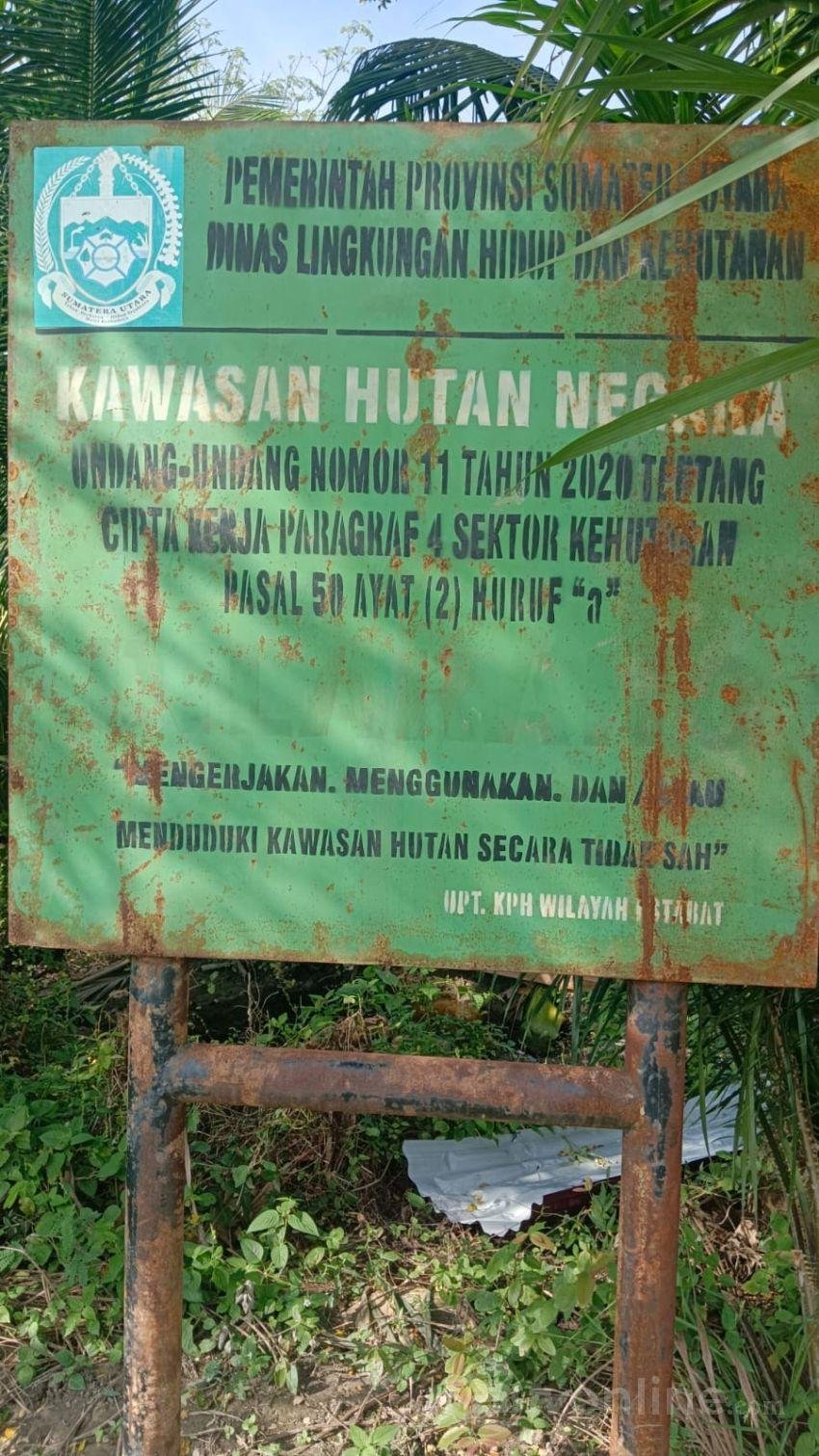 Dua Pekan Pasca Pembongkaran Pagar Seng, Begini Kondisi Terkini Hutan Lindung Desa Regemuk