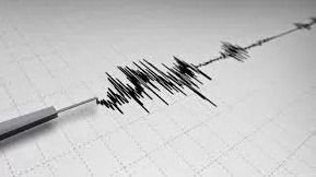 Gempa Berkekuatan 4,2 Magnitudo Guncang Kabupaten Nagan Raya, Aceh