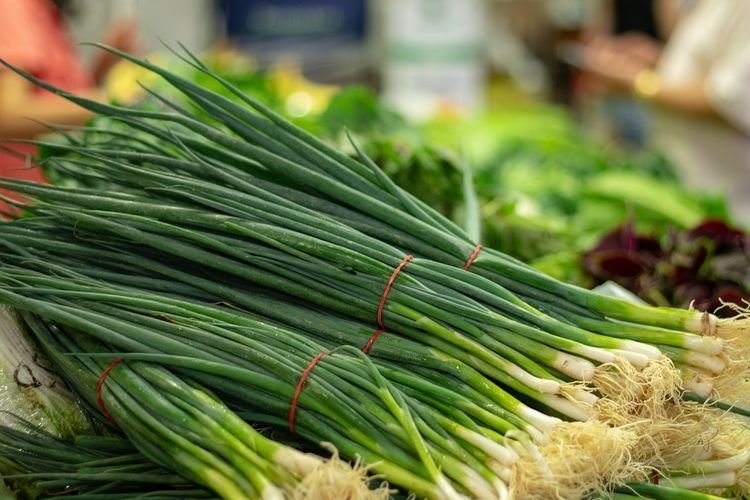 Ada Metode Yang Harus Dihindari? Ini dia Cara Menyimpan Daun Bawang dengan Benar Agar Tetap Segar Hingga Berminggu-minggu