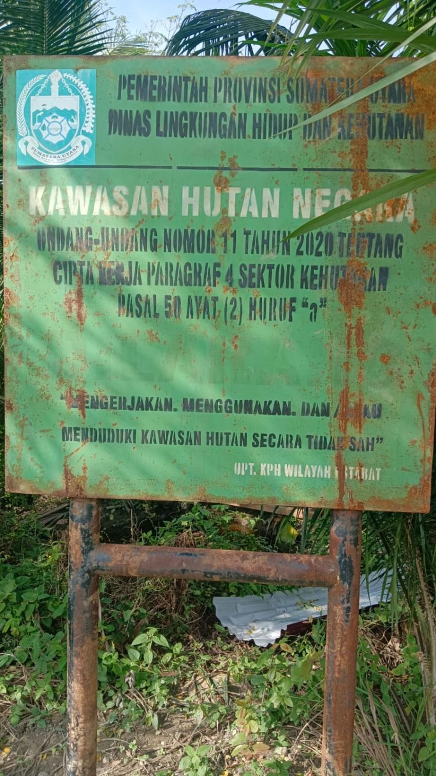 Besok, Poldasu Minta Keterangan Ketua Kelompok Tani Pantai Labu Forest Tree