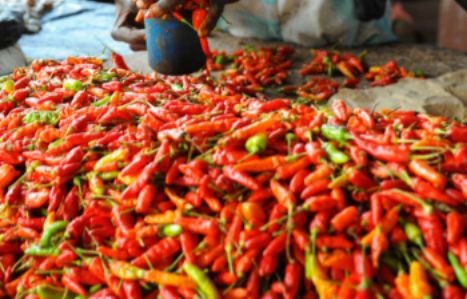 Harga Pangan Naik, Cabai Rawit Merah Tembus Rp 89.650 per Kg!