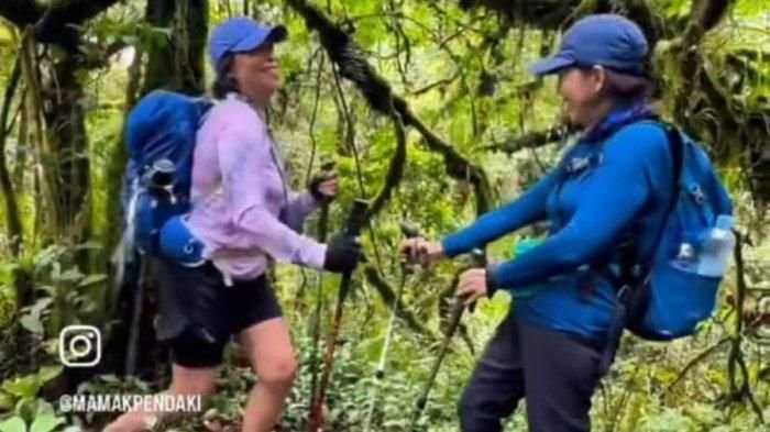 Tragedi di Puncak Carstensz: Elsa Laksono dan Lilie Wijayati Mendaki Bersama Sejak SMA