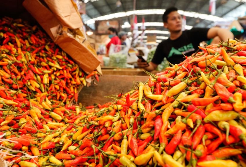 Cabai Tembus Rp 300.000/Kg, Gubernur Kaltim Janji Percepat Distribusi dan Berikan Subsidi