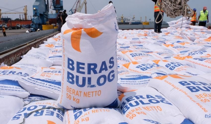 Pemerintah Tunjuk Bulog Serap 1 Juta Ton Jagung & 800 Ribu Ton Beras, Ini Detailnya!