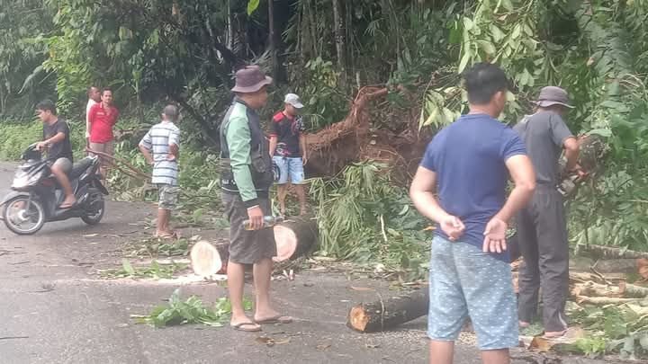 Pemerintah Kota Gunungsitoli Waspada dan Siaga Menghadapi Bencana.