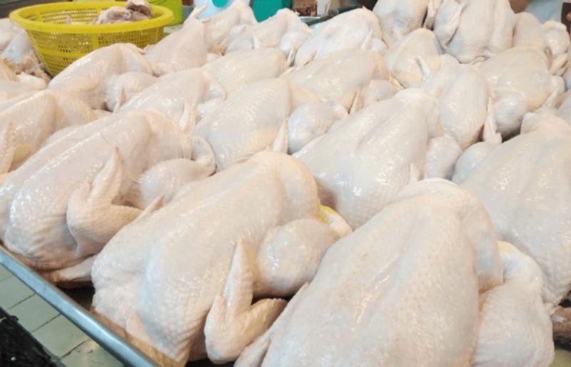 Bapanas Tegaskan Stok Daging Ayam Cukup, Distribusi Terjamin