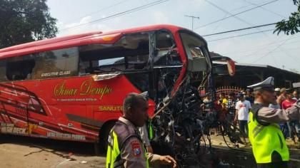 Kecelakaan Bus Tabrak Enam Lembu di Batu Bara Berakhir Damai, Peternak Ganti Rugi