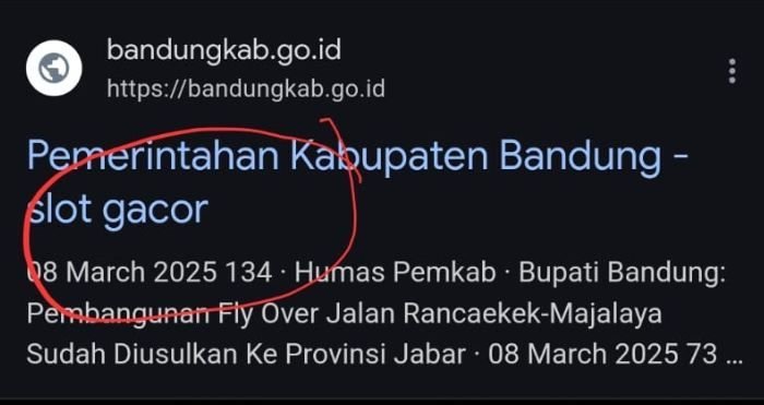 Website Resmi Pemkab Bandung Diretas, Pengguna Temukan Ajakan Judi Online