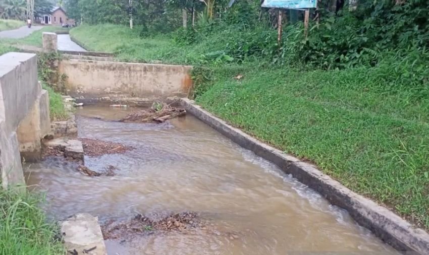 Sedimentasi Timbulkan Krisis Irigasi, Petani Tapanuli Selatan Terancam Kerugian Besar