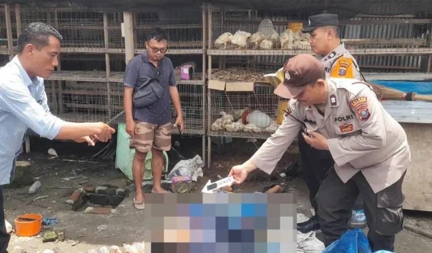 Pria di Pematangsiantar Tewas Kesetrum di Kandang Ayam Miliknya
