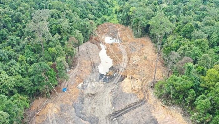 Tambang Ilegal Rusak Hutan Pendidikan Unmul, 3,26 Hektare Terdampak Parah