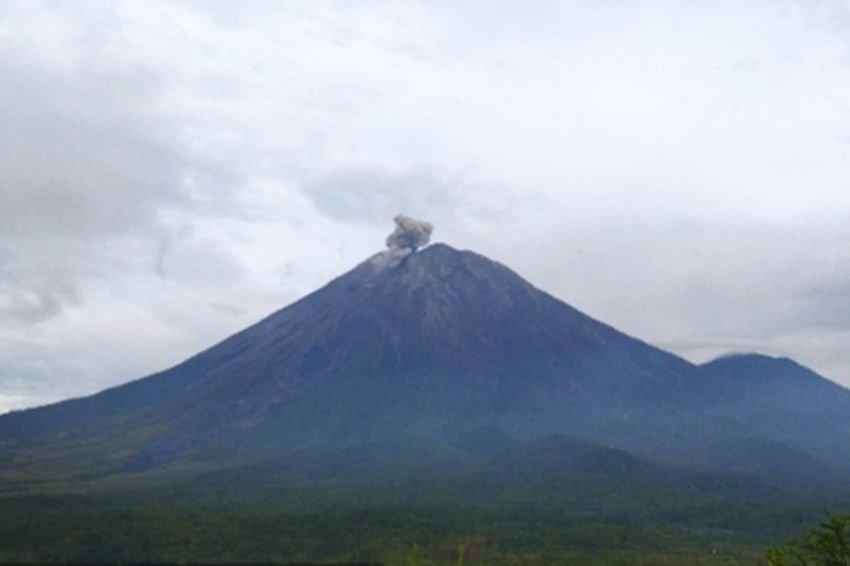 Gunung Semeru Erupsi 5 Kali pada Selasa Pagi, Letuskan Abu Setinggi 700 Meter