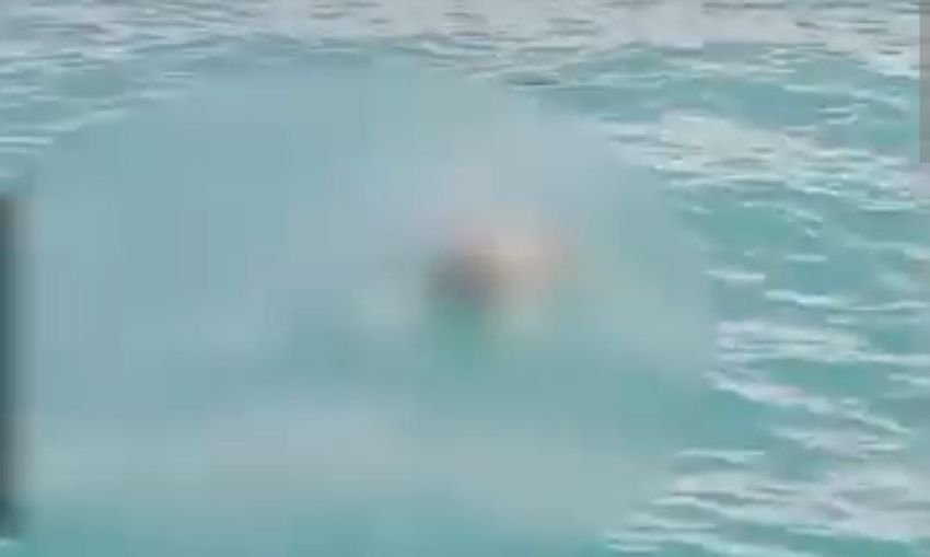 Penemuan Mayat Pria Mengapung di Perairan Batu Ampar, Batam
